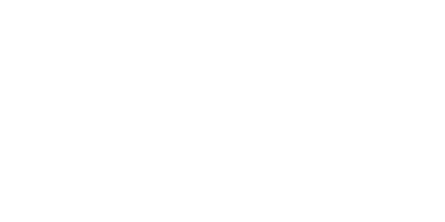 Forecast Consulting Logo White